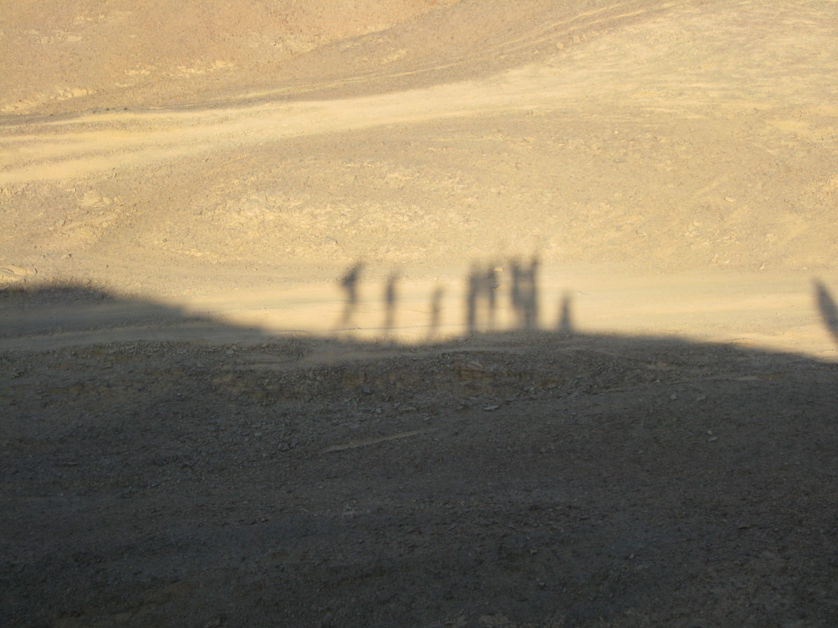 Wüste und Schatten